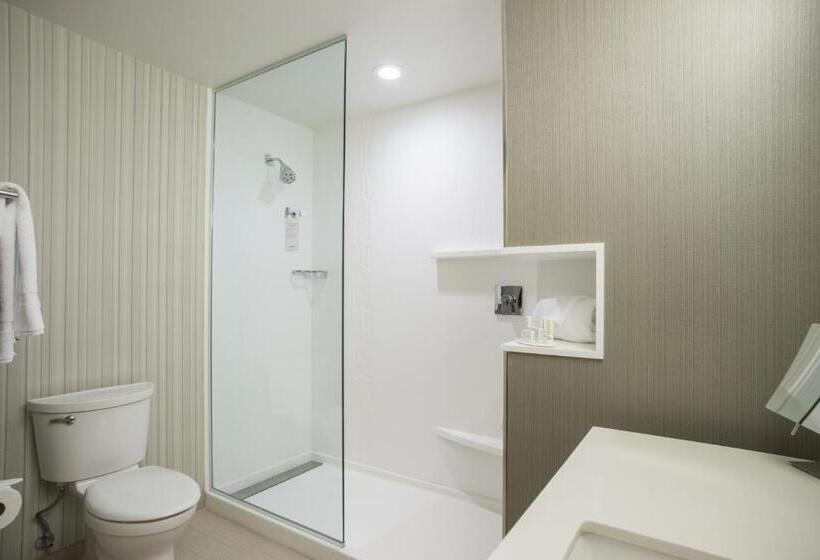 Номер Стандарт Адаптированный для Инвалидов, Courtyard By Marriott Albany Clifton Park