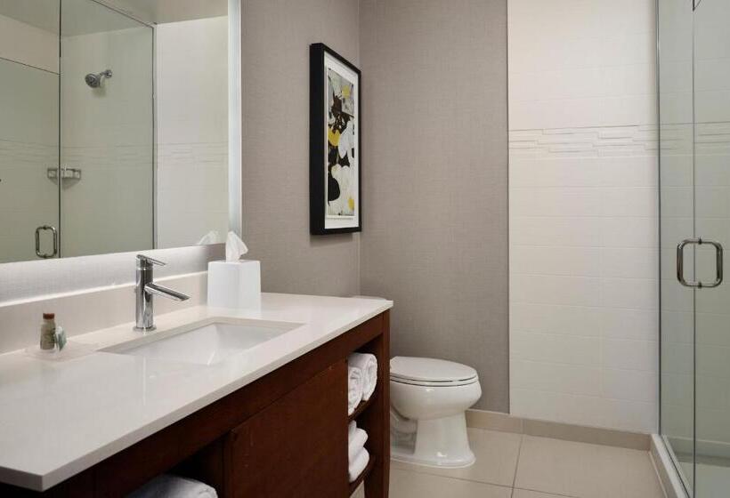장애인을 위한 스위트, Residence Inn By Marriott Dallas Downtown