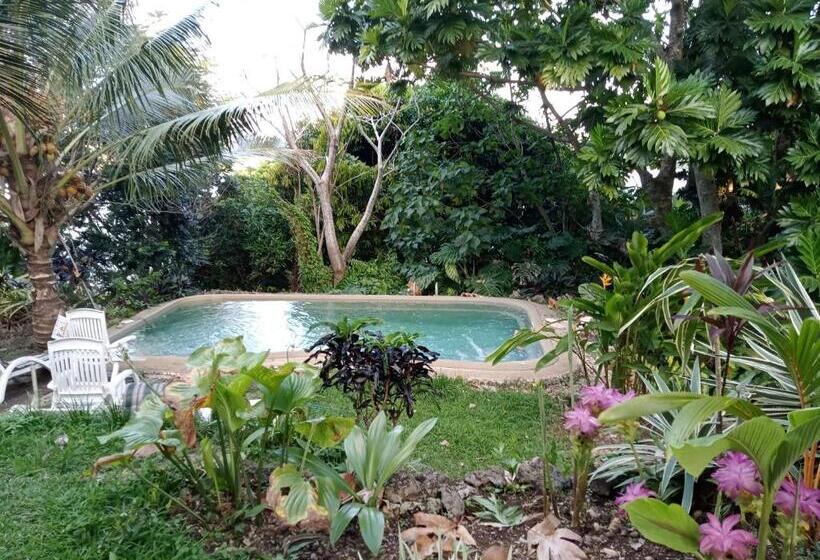 استودیو استاندارد با چشم‌انداز باغ, Seachange Lodge