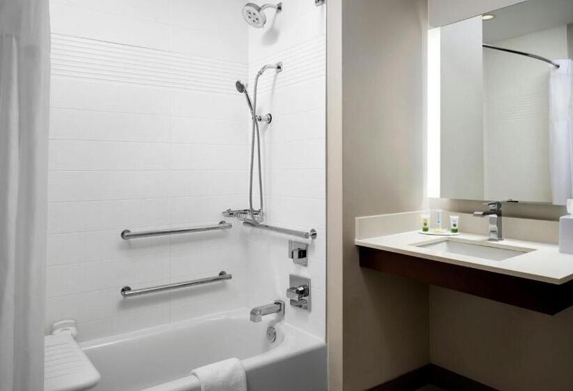 Estúdio standard Cama King, TownePlace Suites by Marriott New Orleans Downtown/Canal Street
