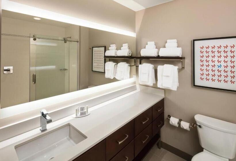 Suíte Cama King, TownePlace Suites by Marriott New Orleans Downtown/Canal Street