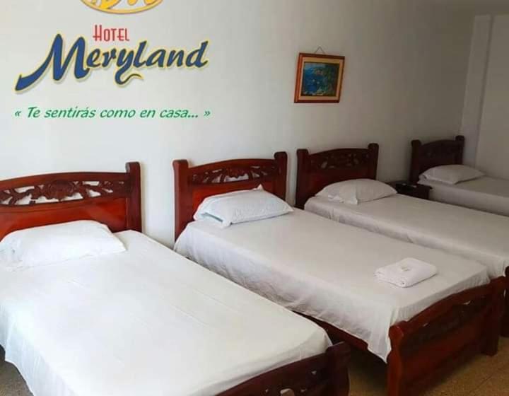 수피리어 룸, Meryland