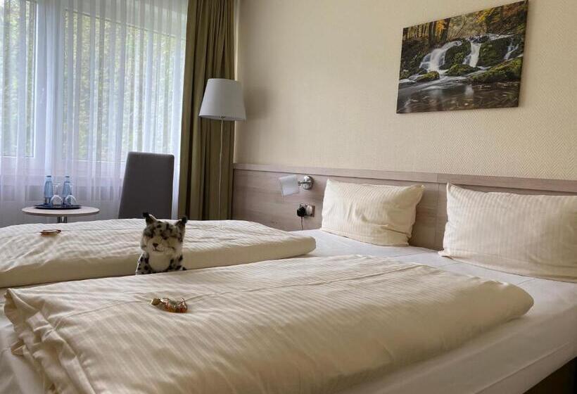 Семейный Номер, Parkhotel Bad Harzburg