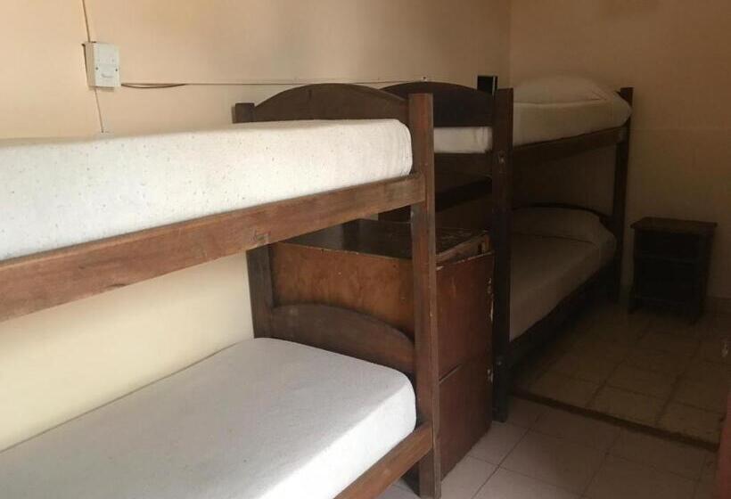 Кровать в Общей Комнате, Hostel Casagrande   Adults Only