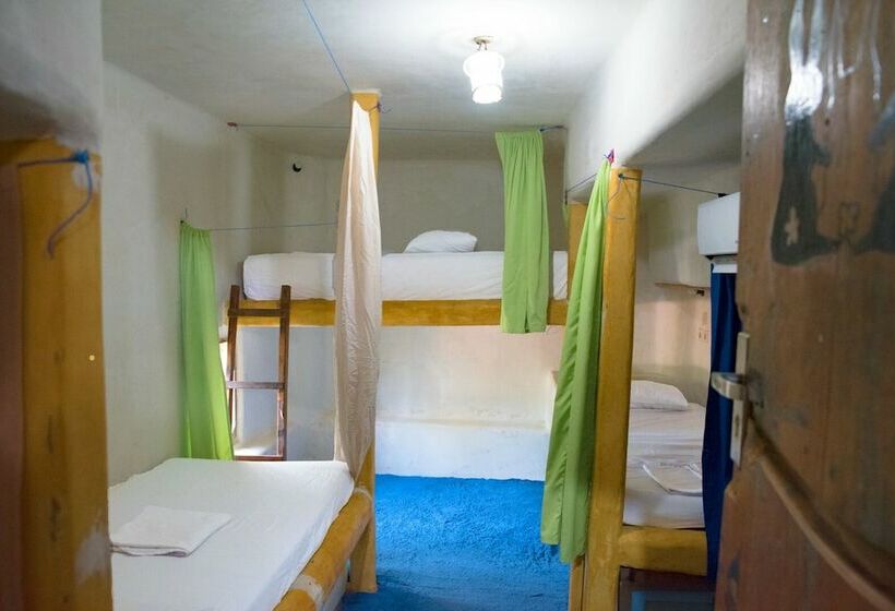 Номер Стандарт, The Rabbit Tree Hostel