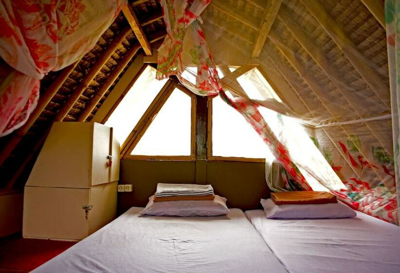 Номер Стандарт, The Rabbit Tree Hostel