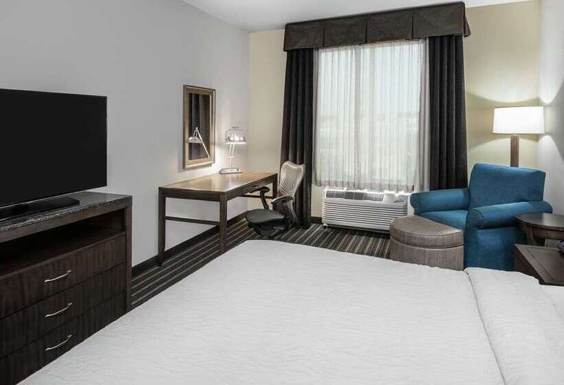 Стандартный Номер Кровать Кинг, Hilton Garden Inn Jackson