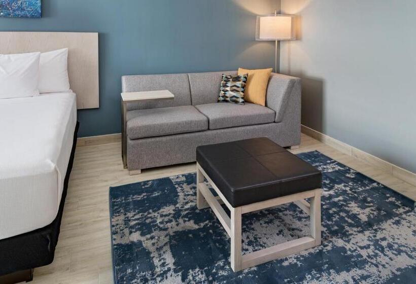 اتاق استاندارد با تخت بزرگ, Hyatt Place San Pedro