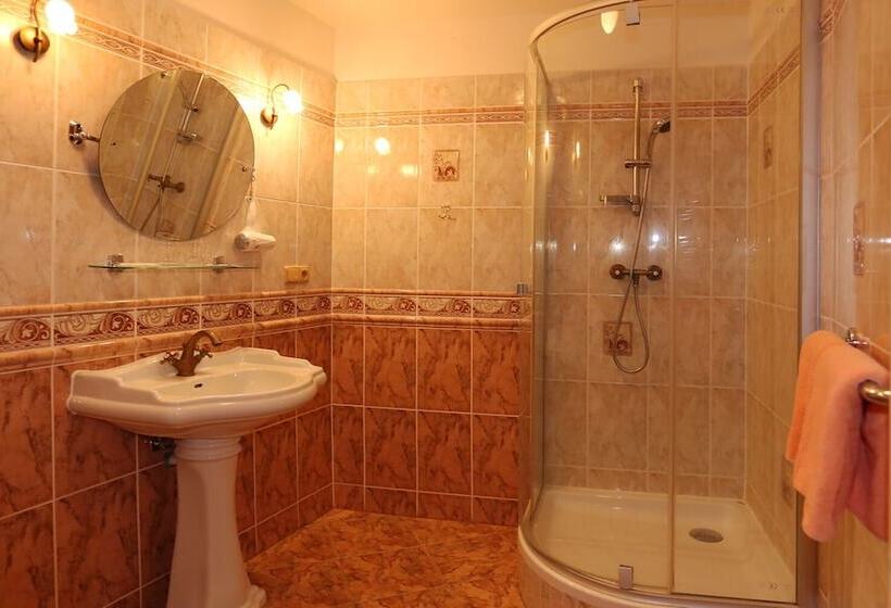 Номер Стандарт, Spa Hotel Purkyně