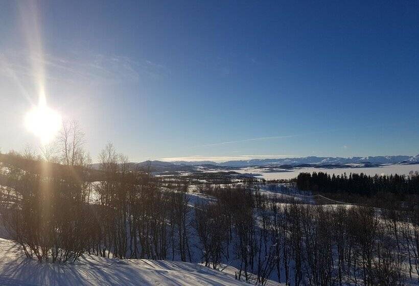 Номер Стандарт, Skinnarbu