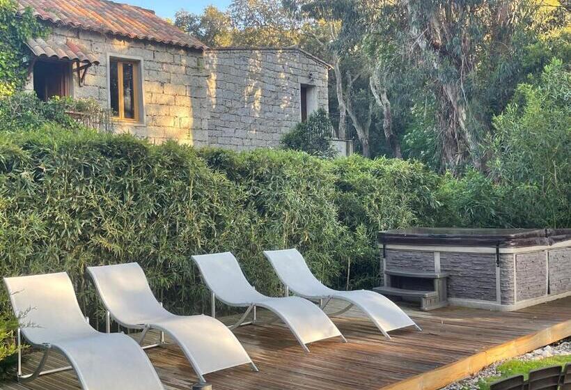 اتاق استاندارد, Chambres D Hôtes Barraconu