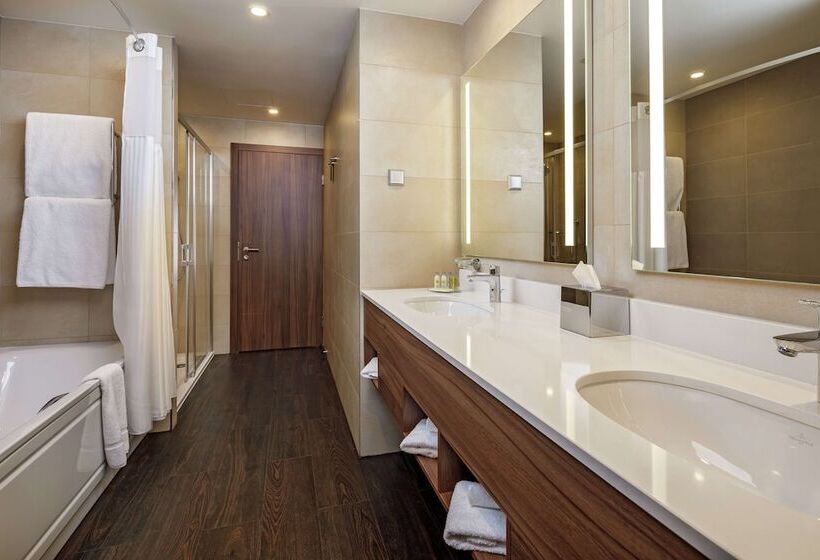 اتاق لوکس با چشم‌انداز دریا, Hilton Garden Inn Novorossiysk