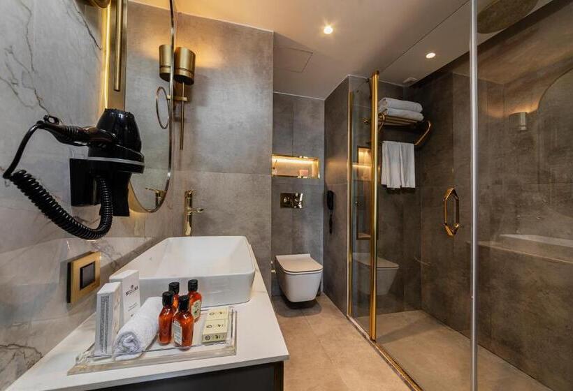 اتاق اجرایی, Levni Istanbul Hotel Handwritten Collection
