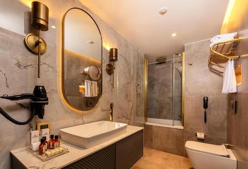 اتاق اجرایی, Levni Istanbul Hotel Handwritten Collection