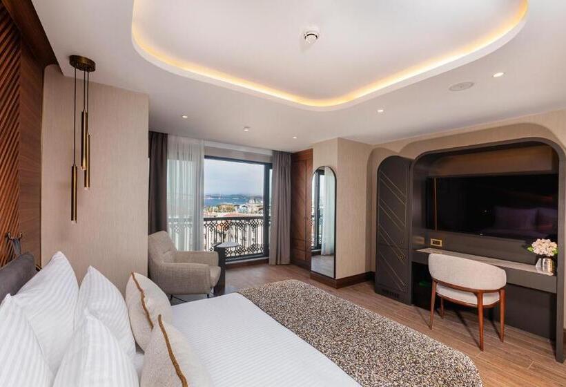 اتاق اجرایی, Levni Istanbul Hotel Handwritten Collection