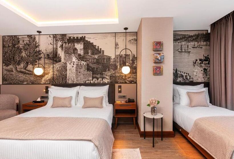 اتاق سوپریور یک تخته, Levni Istanbul Hotel Handwritten Collection