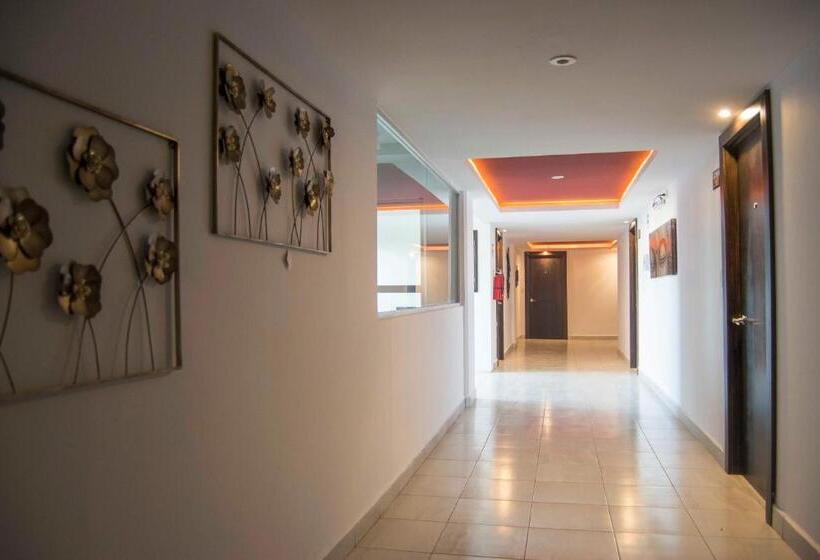 주니어 스위트, Onix Suites