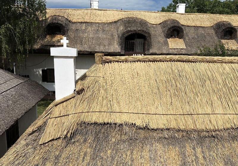 Номер Стандарт Вид на Сад, The Houses Of History  Anno 1830