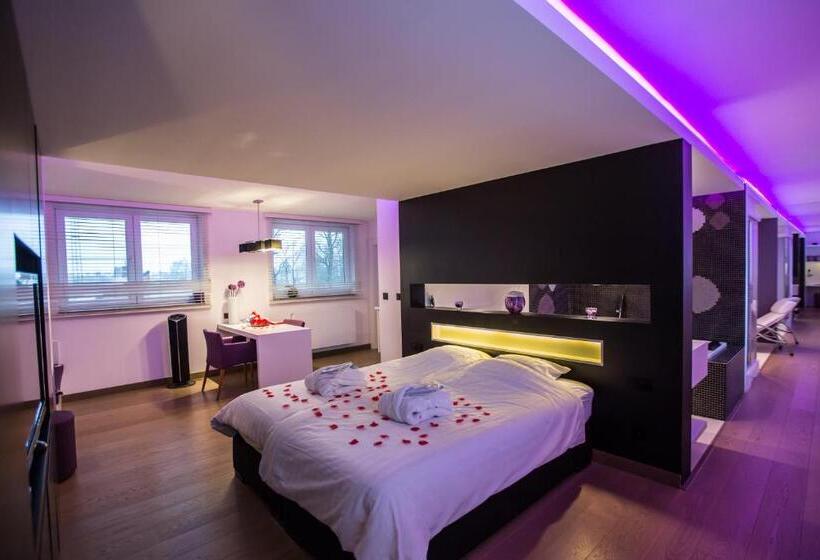 اتاق استاندارد با وان آب گرم, Wellness Hasselt B&b