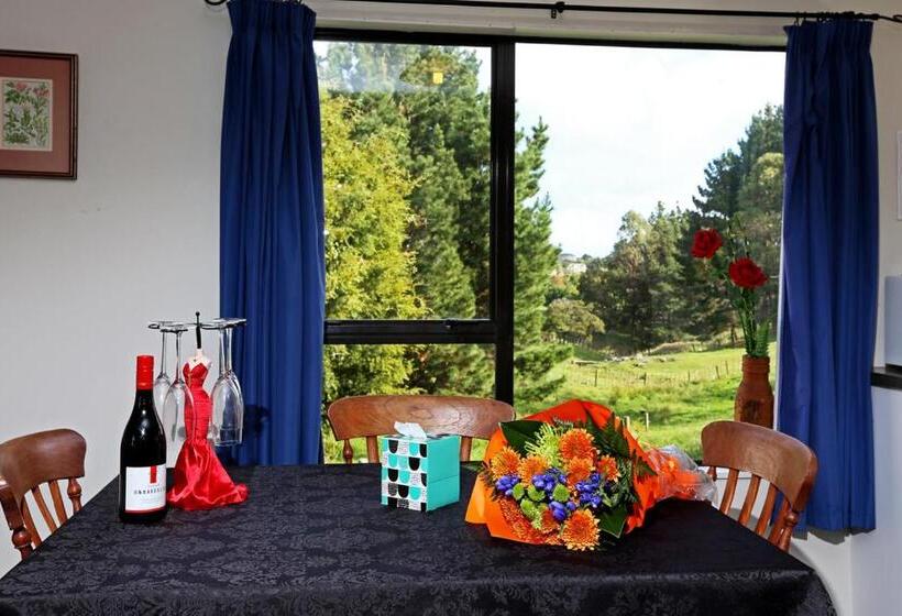 Апартаменты 2 Спальни, Waiuku Lodge Motel