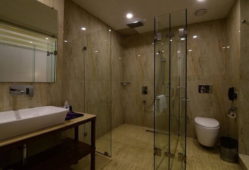 اتاق سوپریور با تخت بزرگ, Park Regis Goa