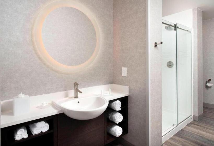 סוויטה, Springhill Suites By Marriott Atlanta Downtown