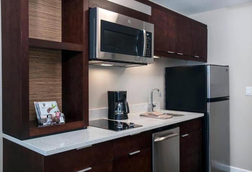 스탠다드 스튜디오, Towneplace Suites Orlando Lake Buena Vista/Palm Parkway