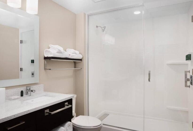 2 베드룸 디럭스 스위트, Towneplace Suites Orlando Lake Buena Vista/Palm Parkway