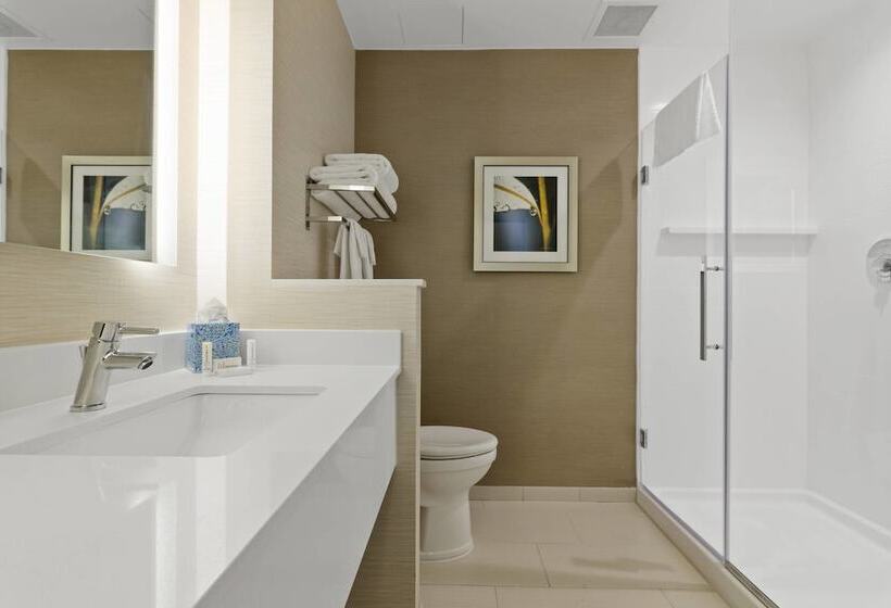 Люкс, Fairfield Inn & Suites By Marriott St Petersburg North