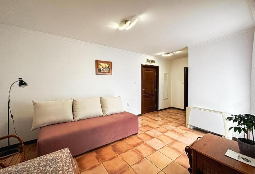 آپارتمان 1 خوابه با چشم‌انداز, Aparthotel Villa Lav