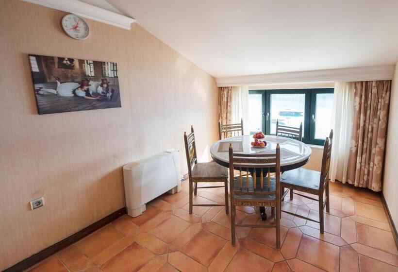 1 Bedroom Penthouse Apartment, Aparthotel Villa Lav