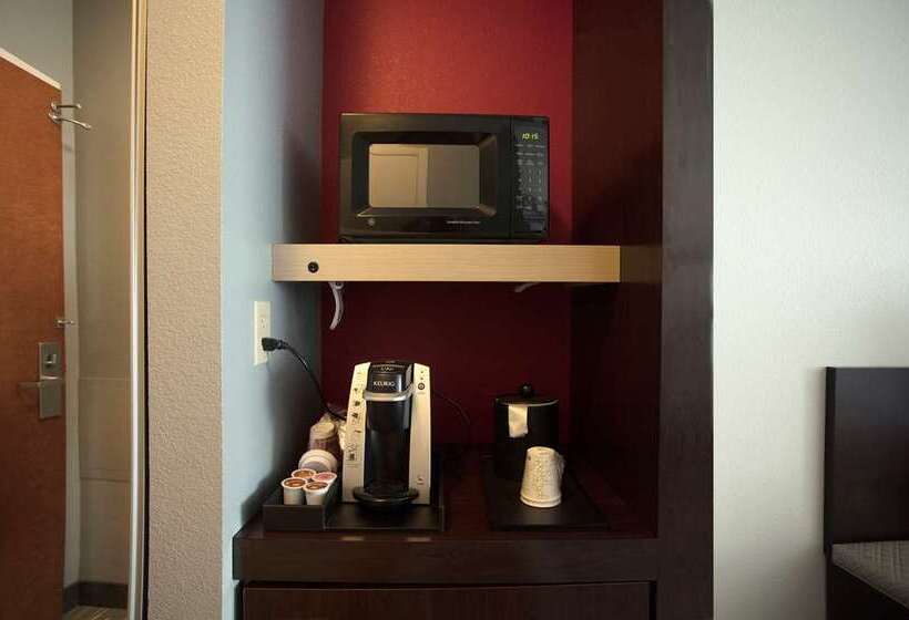 اتاق استاندارد با تخت بزرگ, Hilton Garden Inn Chihuahua