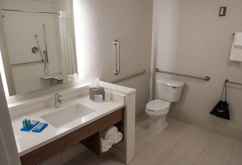 适合残疾人士使用的套间, Holiday Inn Express & Suites   Merrillville, An Ihg