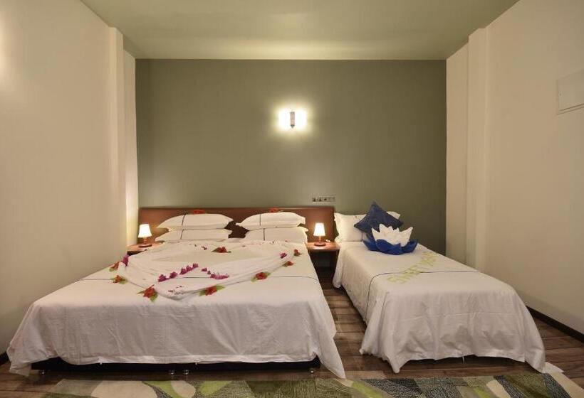 اتاق سوپریور با تخت بزرگ, Island Home Inn