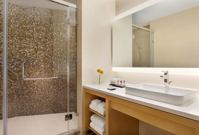 اتاق استاندارد, Hyatt Place Beijing Daxing