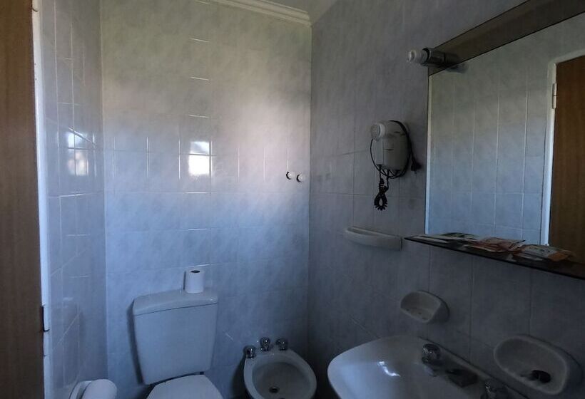 اتاق استاندارد, Los Lagos