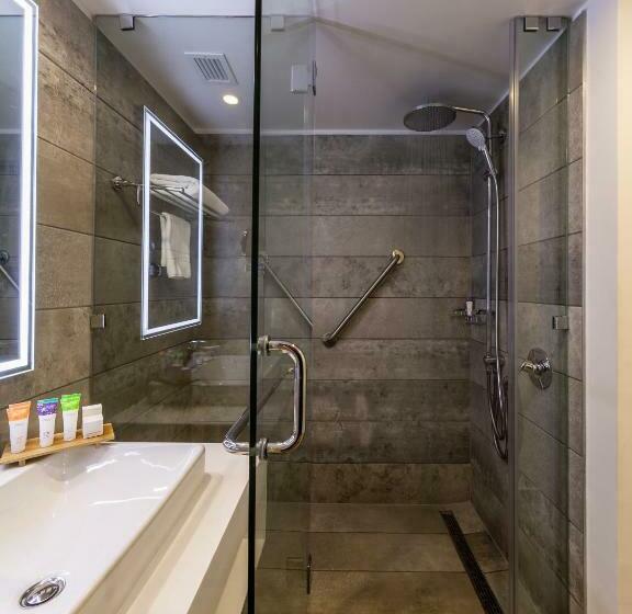اتاق سوپریور با تخت بزرگ, Novotel Santiago Providencia