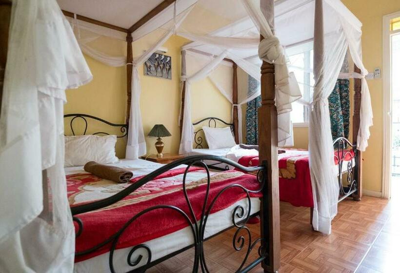 اتاق سوپریور, Springlands Hotel Moshi