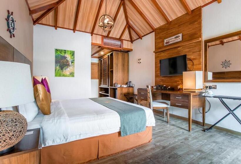 اتاق سوپریور یک تخته, Plumeria Maldives