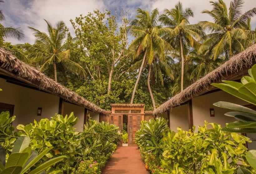 اتاق سوپریور, Plumeria Maldives