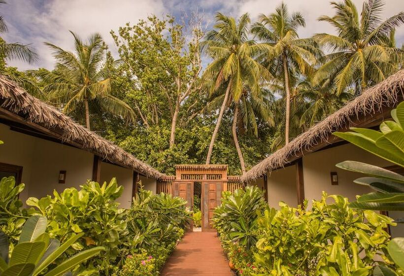اتاق سوپریور یک تخته, Plumeria Maldives