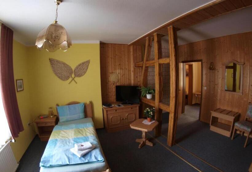 اتاق استاندارد یک نفره, Gasthof Zur Schweiz