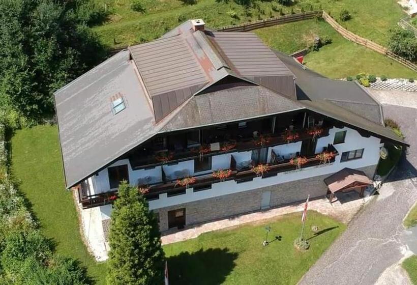 Номер Стандарт Трехместный, Pension Almhof