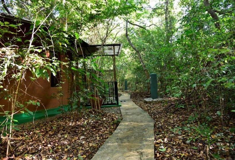 غرفة قياسية سرير كينج, Akein Jungle Resort   Sigiriya