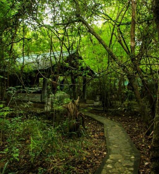 经济房, Akein Jungle Resort   Sigiriya