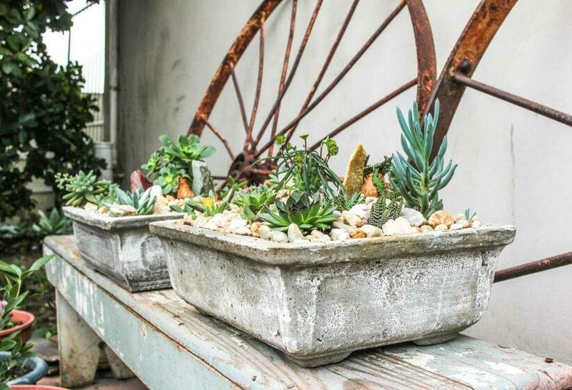 이코노미 룸, Albert Road Garden Guest House