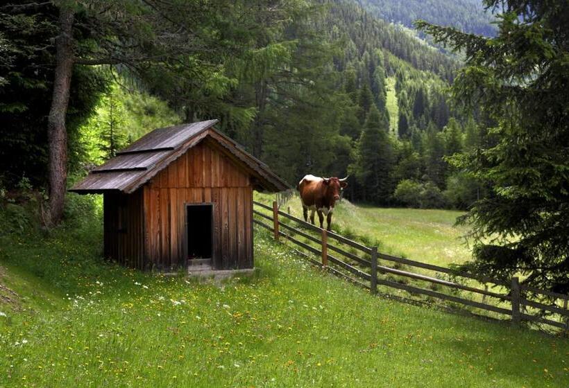 Апартаменты 2 Спальни с Балконом, Gasserhütte