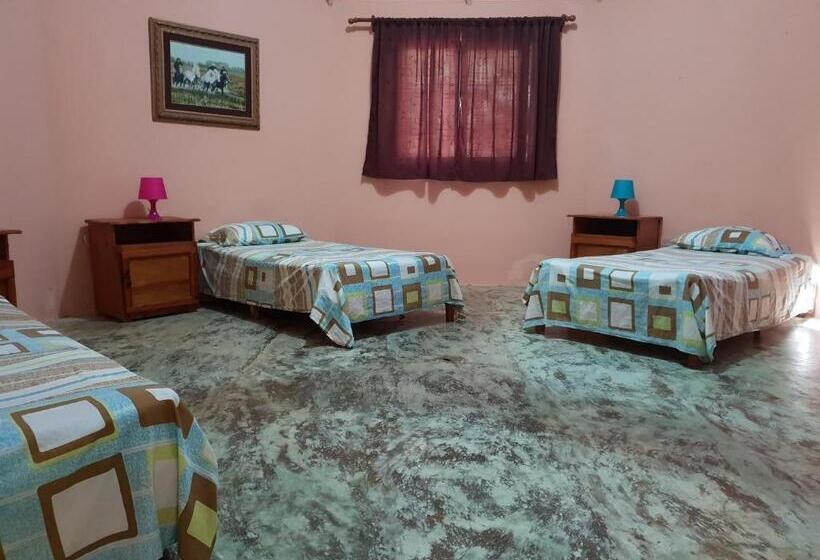 מיטה בחדר משותף, Gipsy Ranch Rooms