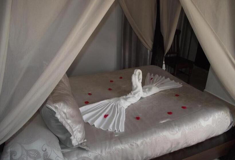 חדר סטנדרט, Hostal El Canario