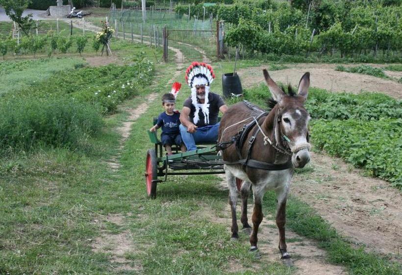 침실 3개 아파트, Agriturismo Podere La Fornace